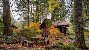 Une cabane rustique, entourée d’une forêt, avec une table et des bancs en bois au premier plan.