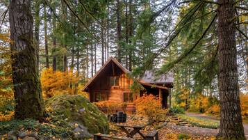 A cabin surrounded by tall trees and autumn foliage.