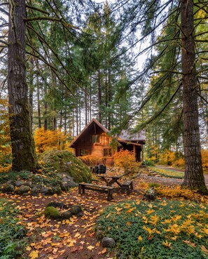 Eine Holzhütte, umgeben von hohen Bäumen und Herbstlaub.