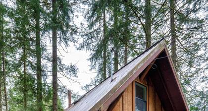 Forest Cabin + Airstream | 3BR/3BA | Hot Tub