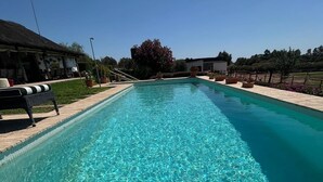 A rectangular swimming pool with clear blue water, surrounded by a wooden deck and potted plants.
