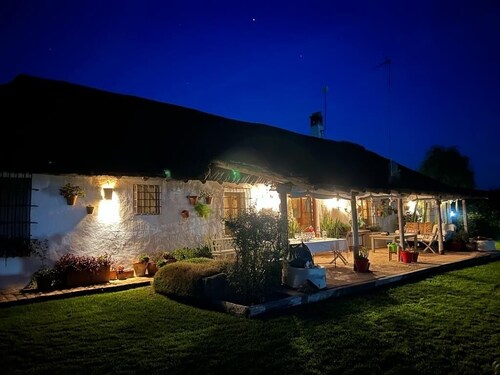 OLIVE GROVE OF GATOS FARM