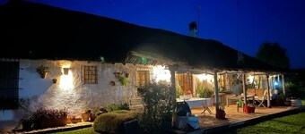 OLIVE GROVE OF GATOS FARM