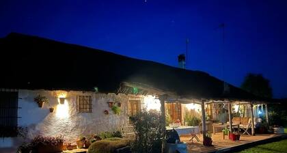 OLIVE GROVE OF GATOS FARM