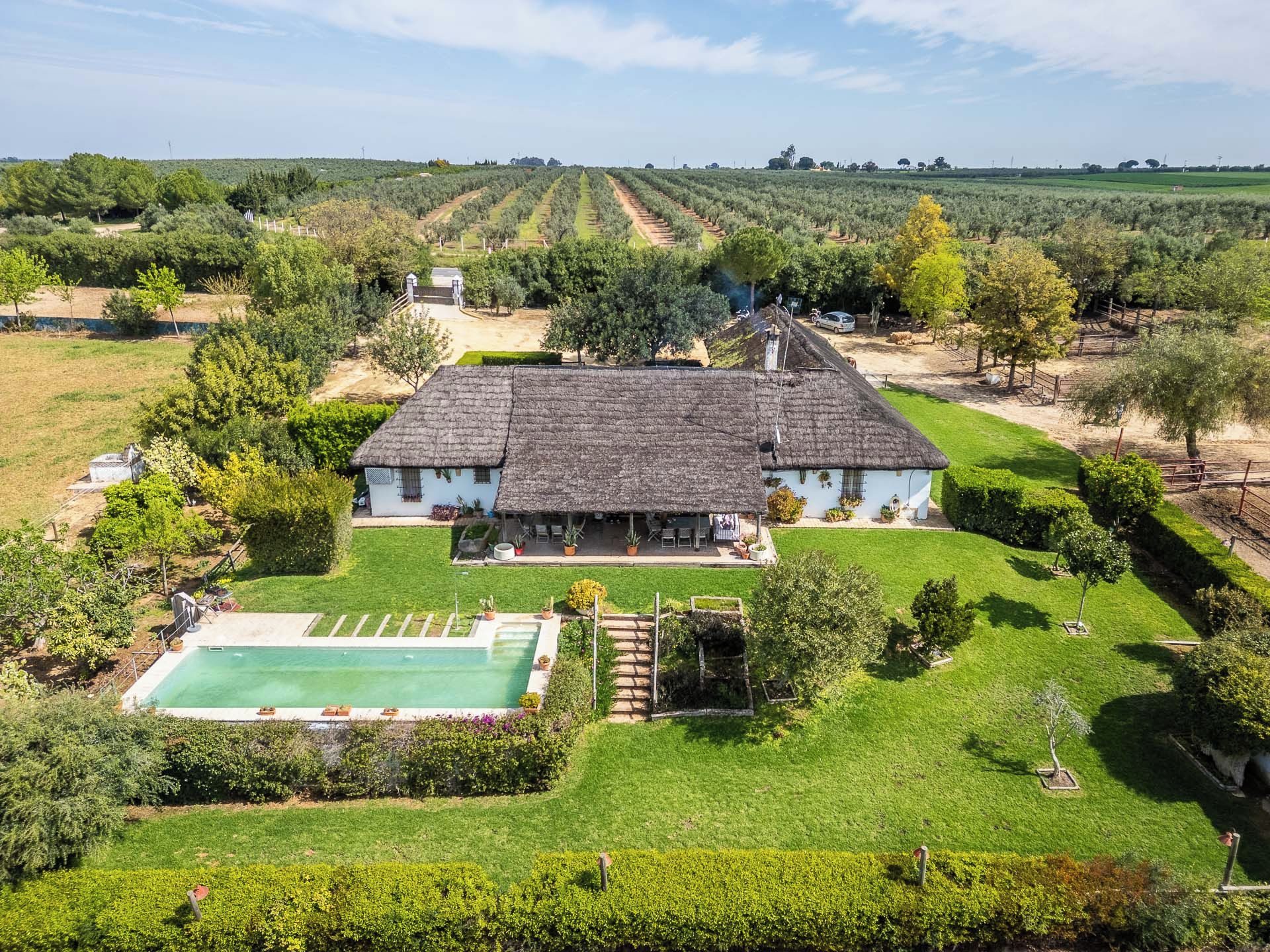 A large house with a swimming pool, surrounded by well-maintained gardens and vineyards.