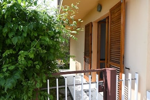 A balcony with a wooden railing, a door with shutters, and a green vine.