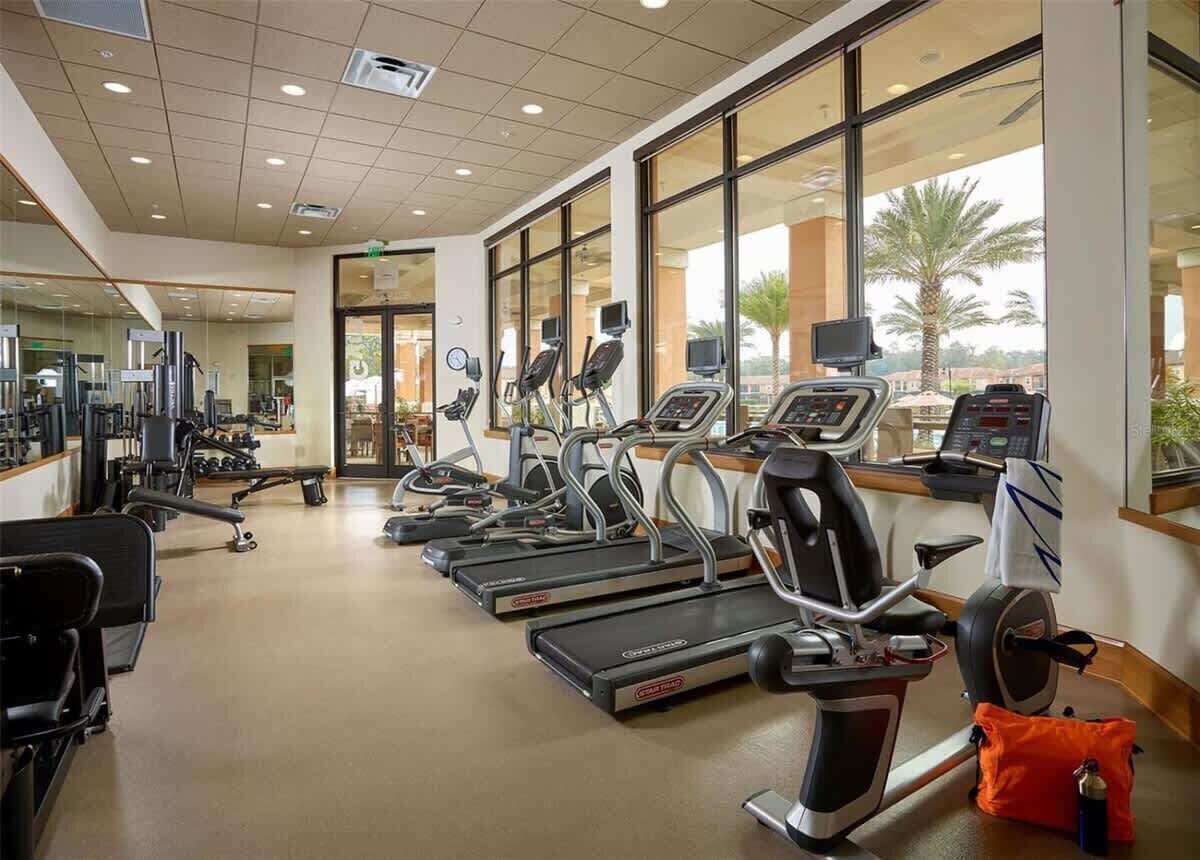 Modern fitness center with cardio machines and large windows overlooking palm trees.