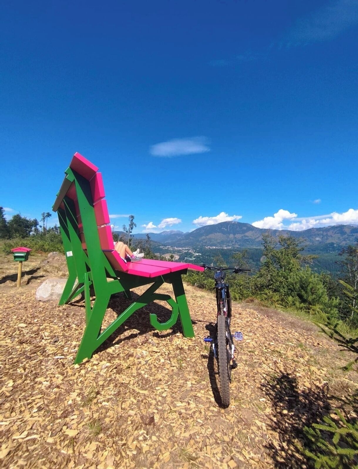 Een groene en roze stoel met uitzicht op een berg, een fiets en een picknicktafel.