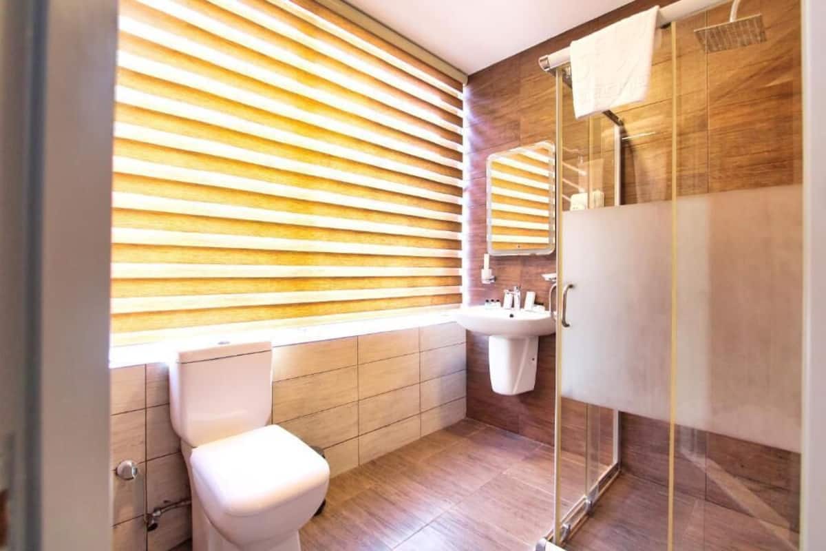 Shower, free toiletries, hair dryer, bathrobes