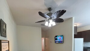 Una sala de estar con ventilador de techo, televisor, sofá y una mesa de centro.