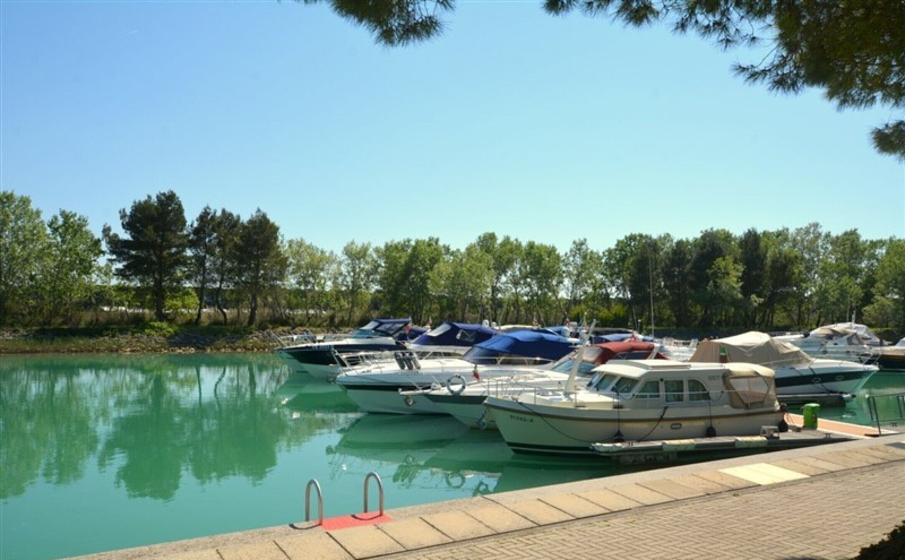 A marina with several boats docked, a clear sky, and trees in the background.
