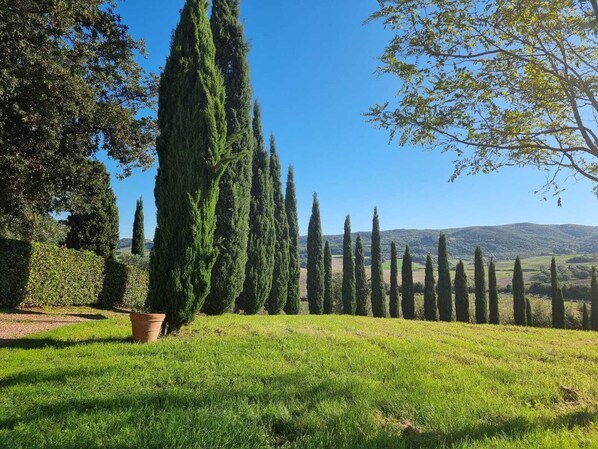 Terrein van de accommodatie