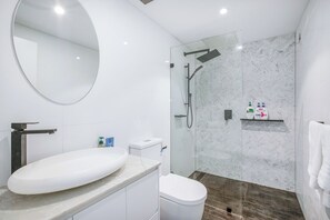 Shower, towels, soap, toilet paper