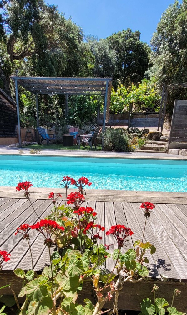 Un espace piscine doté d’une terrasse en bois, de fleurs rouges et d’une pergola avec des chaises.