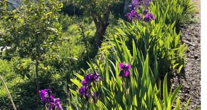 Nature gite - Provence