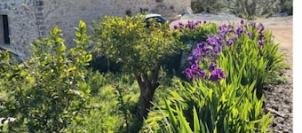 Nature gite - Provence