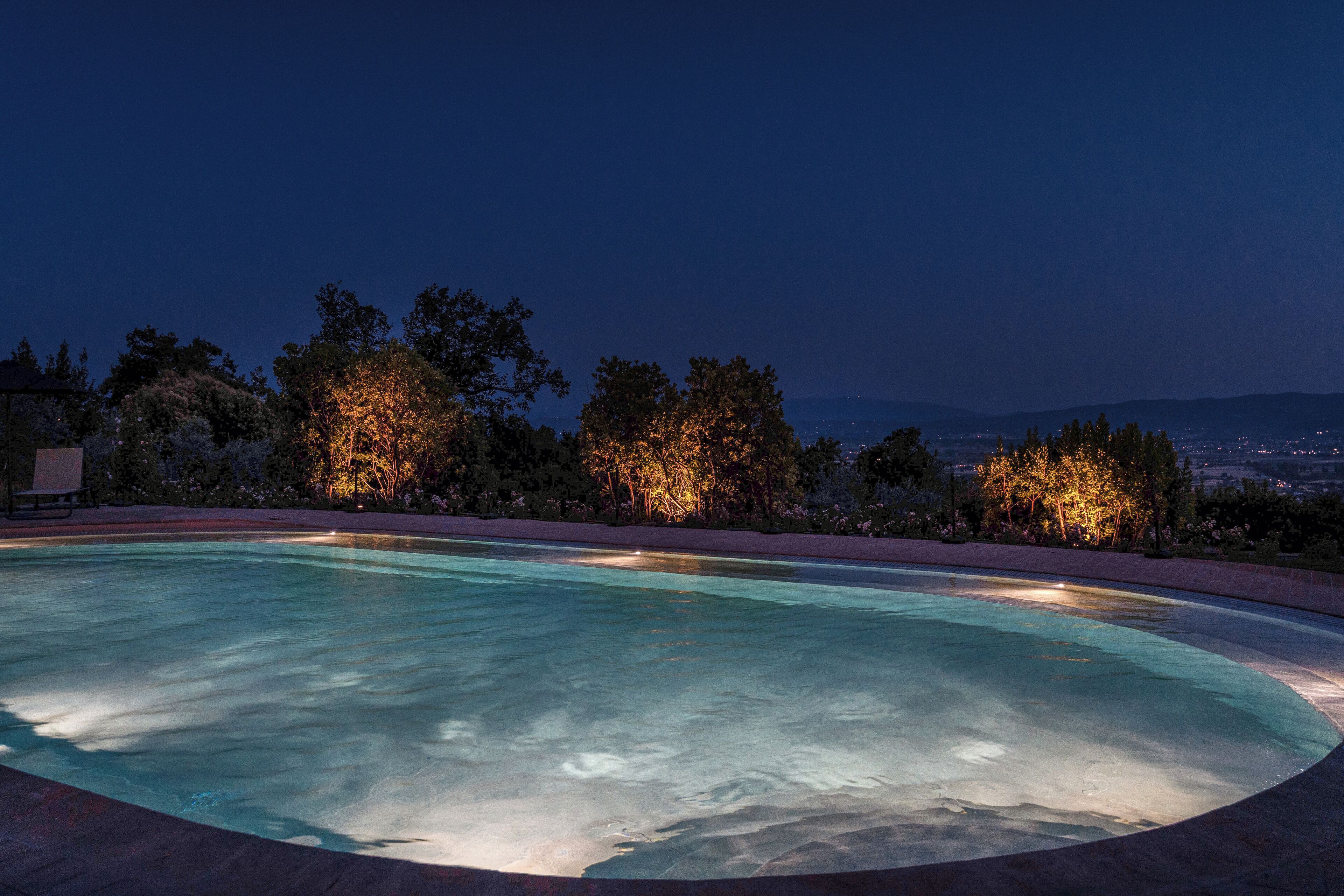 A swimming pool at night with surrounding trees illuminated by lights.