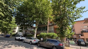 Una strada con auto parcheggiate, alberi e palazzi residenziali.