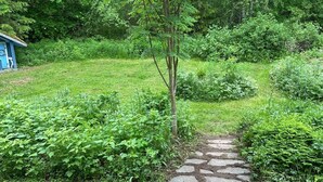 A stone pathway leading through a lush garden with dense foliage and a small blue structure in the background.