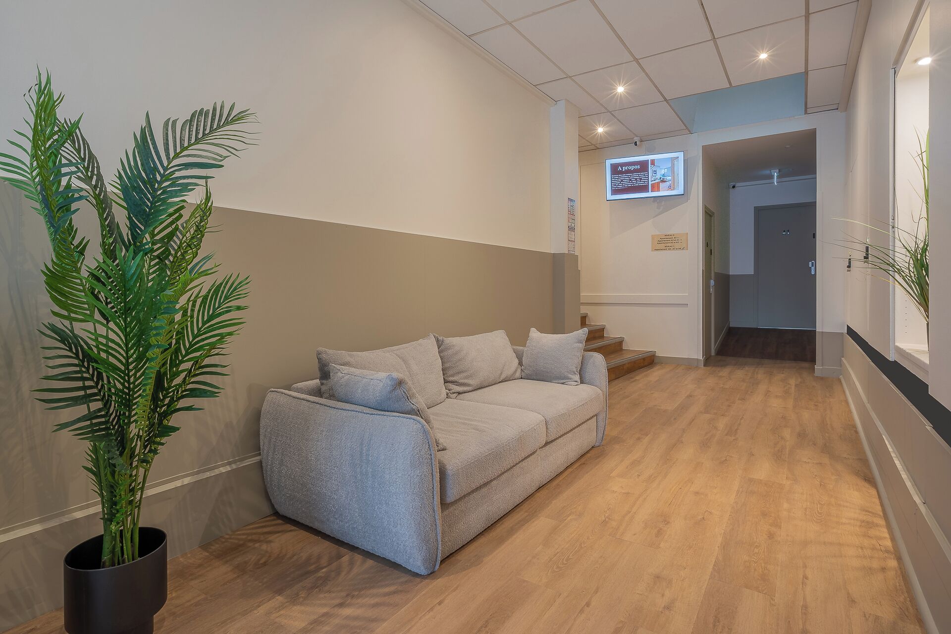 A modern interior with a grey sofa, wooden flooring, and a potted plant.
