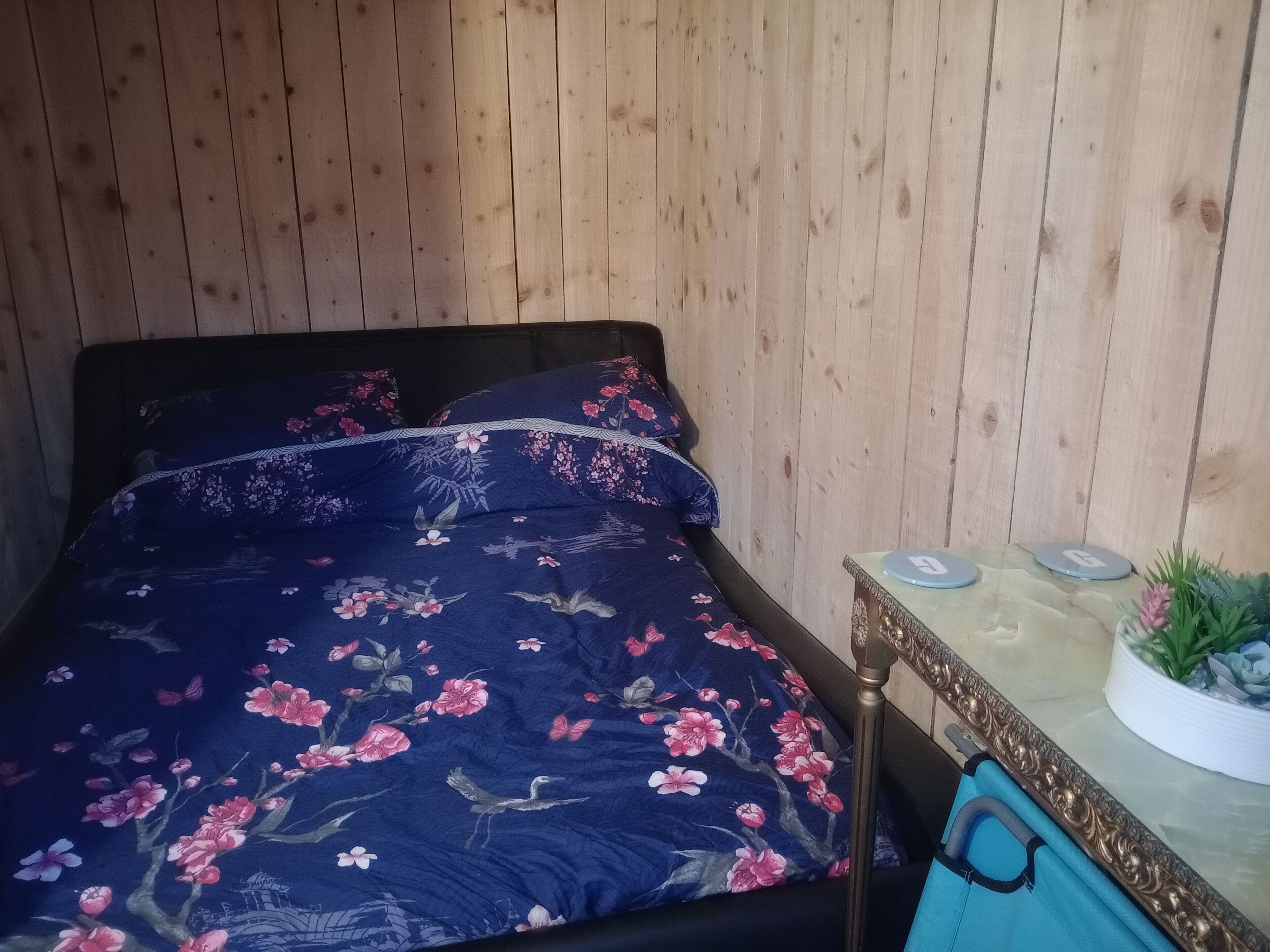 Sänky, jossa on kukallinen vuodevaatteisto, yöpöytä, jossa on kasvi, ja peili.