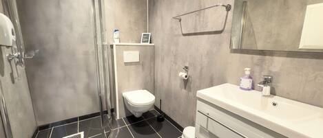 A modern bathroom with a glass shower enclosure, a toilet, and a vanity with a mirror.