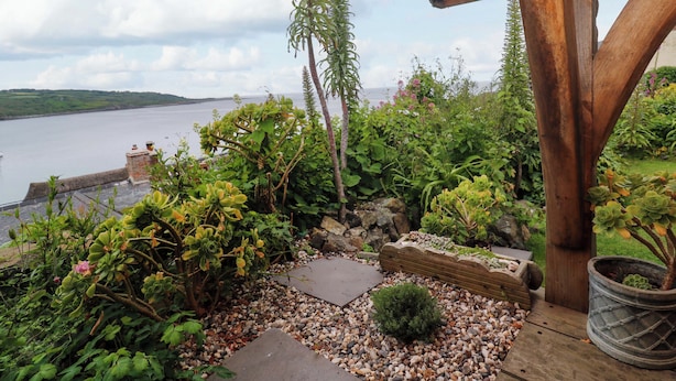 Un jardín con diversas plantas y un sendero de piedra que lleva a una estructura de madera.