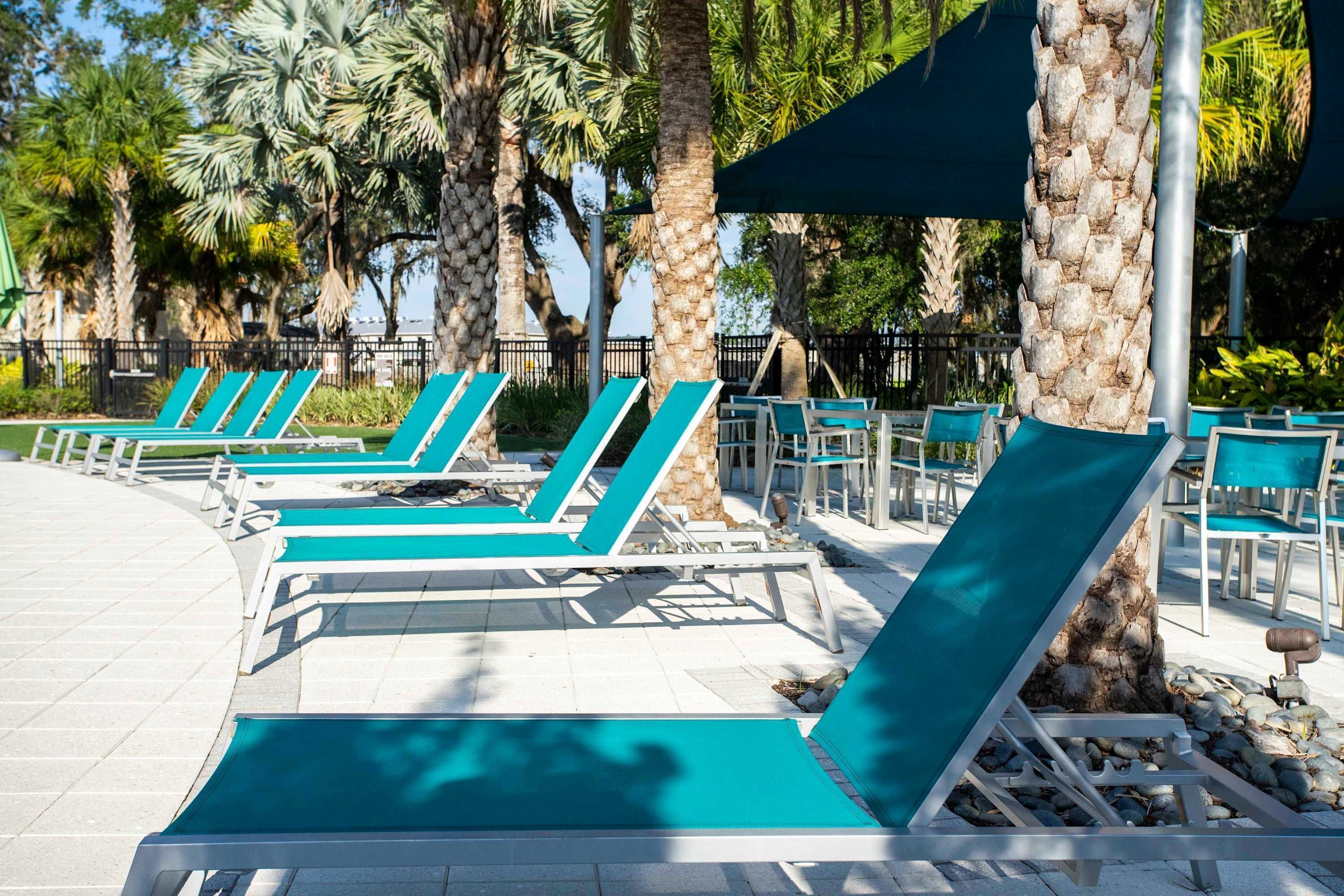 A poolside area with lounge chairs and palm trees.