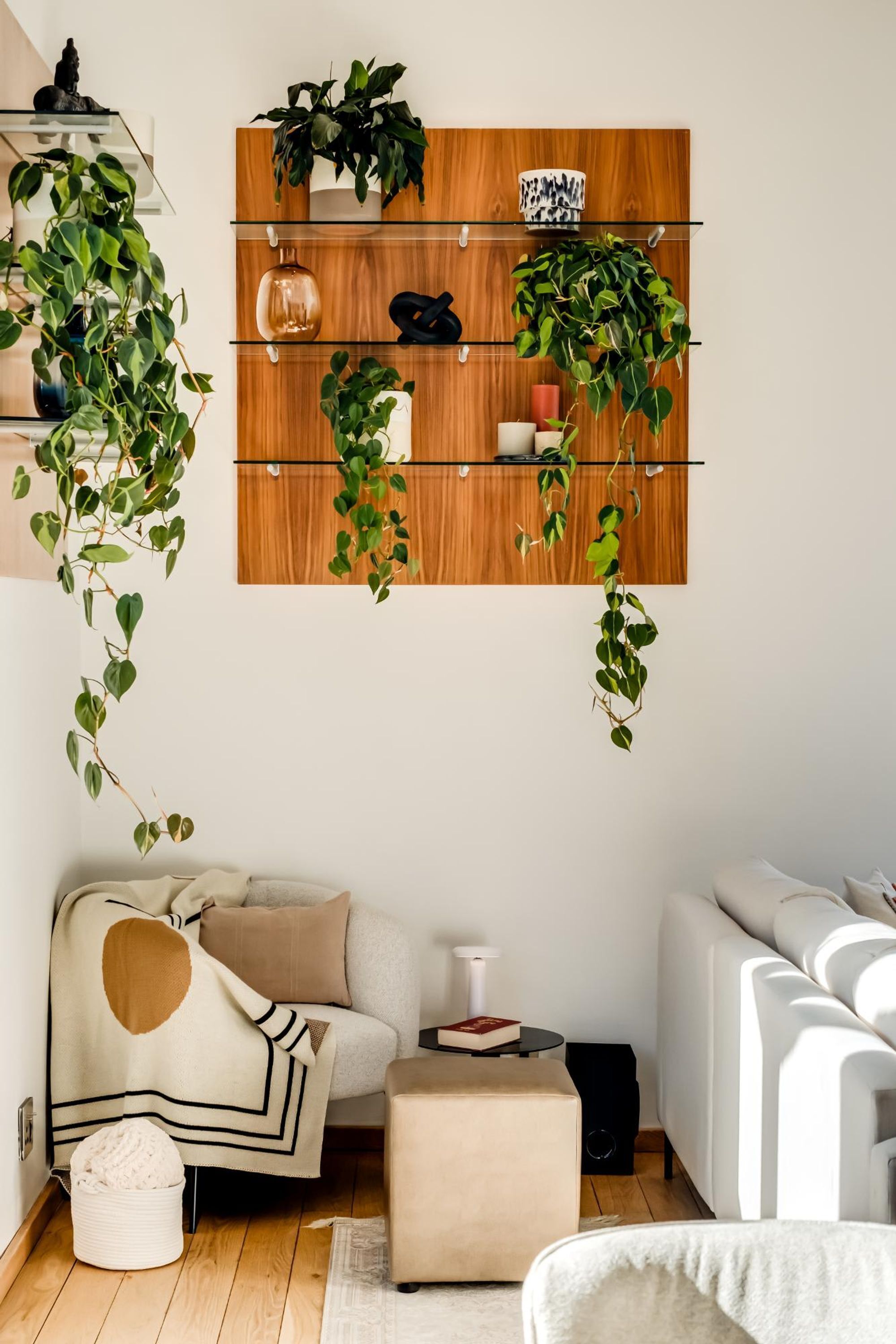 A modern living room with a wooden shelf unit displaying plants and decorative items, a sofa, a coffee table, and a cozy blanket.