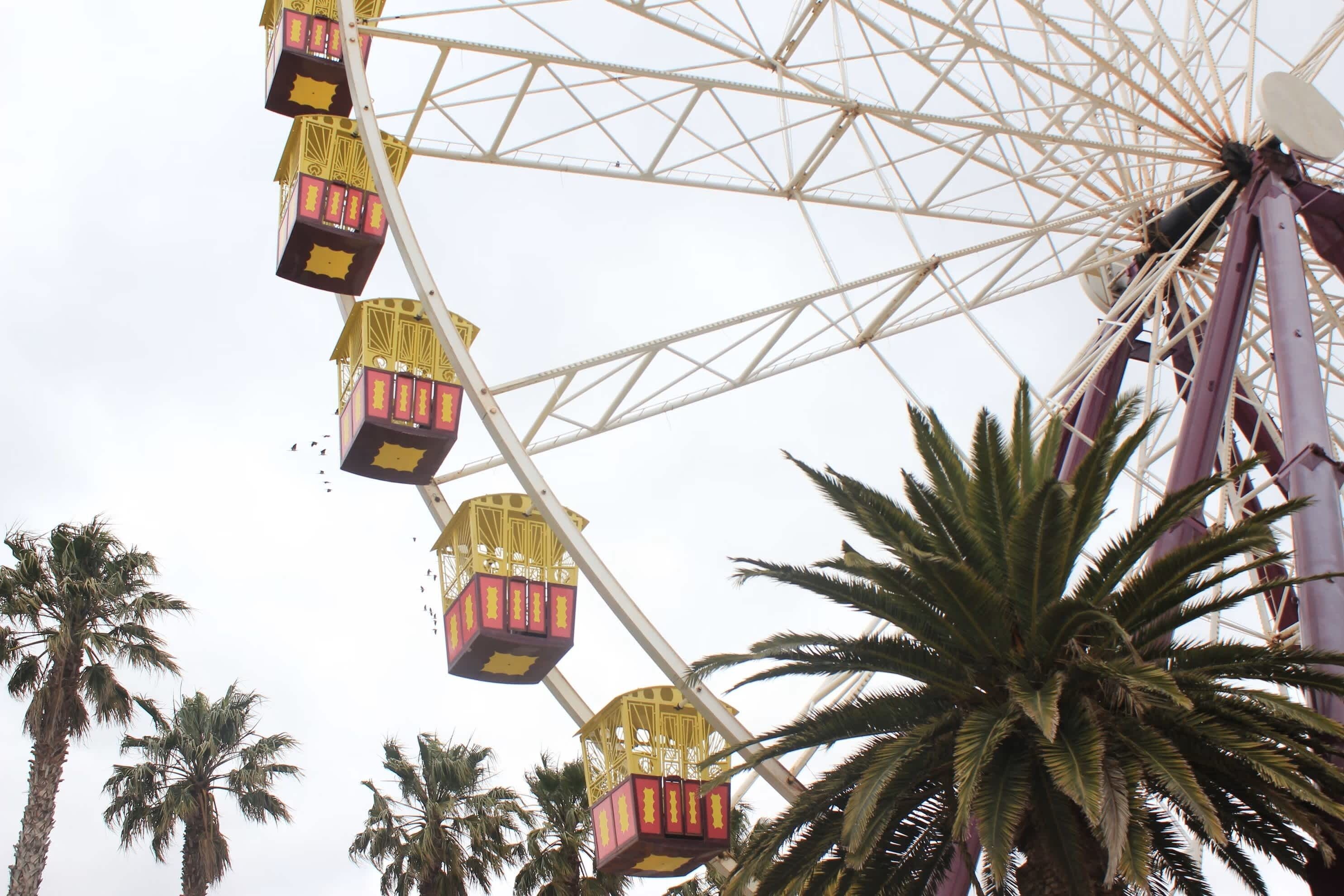 A Ferris wheel with yellow cabins and a large palm tree in the foreground.