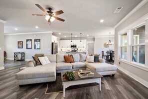 Télévision, cheminée, livres, espaces bureaux