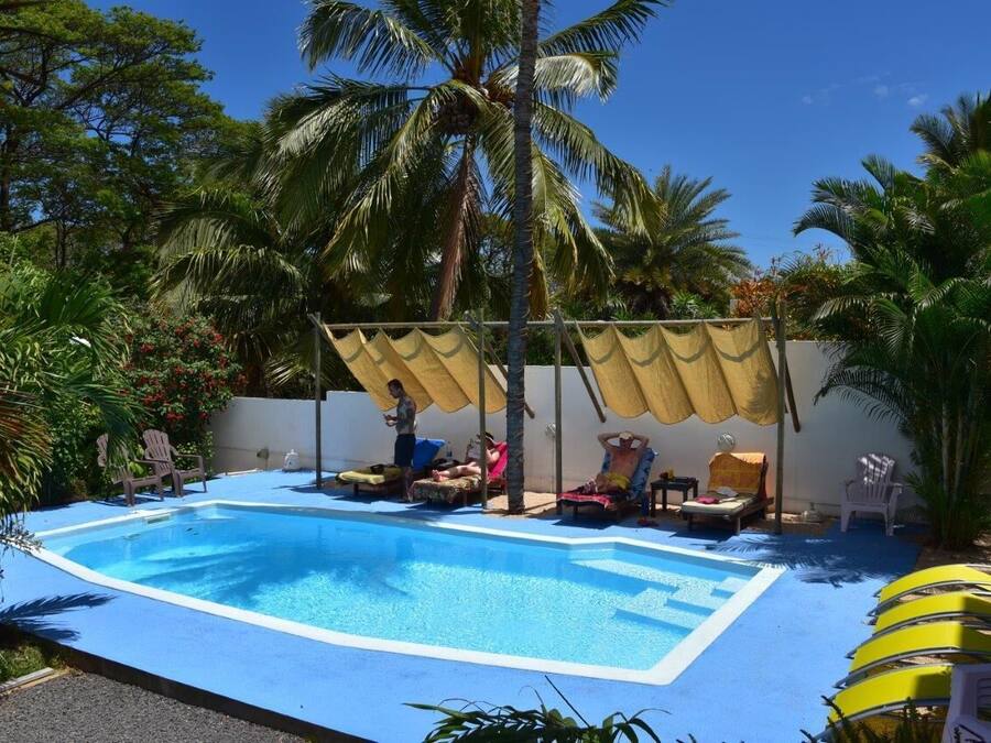 A swimming pool with lounge chairs and umbrellas, surrounded by palm trees.