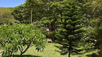 花園