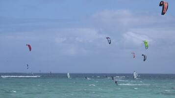 Eine Küstenansicht mit mehreren Kitesurfern im Meer.