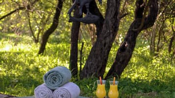 Outdoor pool, sun loungers