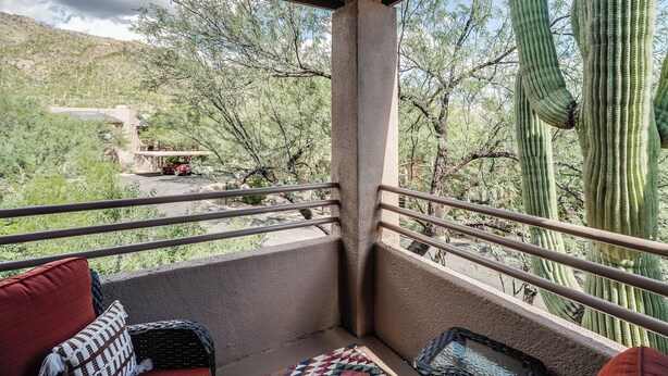 Un balcon donnant sur des cactus et un bâtiment situé au loin.