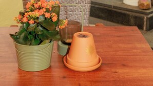 Een hotel receptie met een brievenbus, een krijtbord, een potplant en een houten tafel.