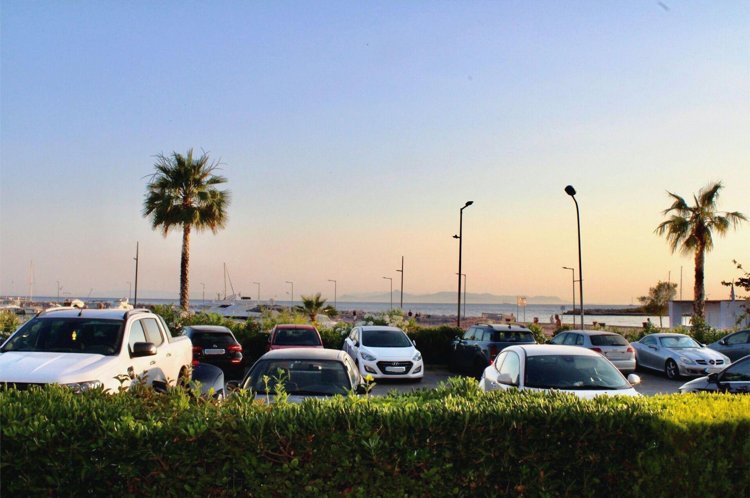 Ein Parkplatz mit mehreren Autos und Palmen, mit blauem Himmel und weiter Aussicht auf das Meer.