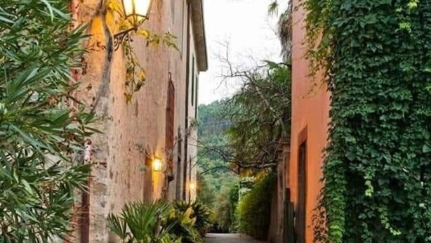 A narrow alleyway with buildings on either side, potted plants, and a gravel path. - Flower house, surrounded by greenery, overlooking a large garden. (Bacchereto)