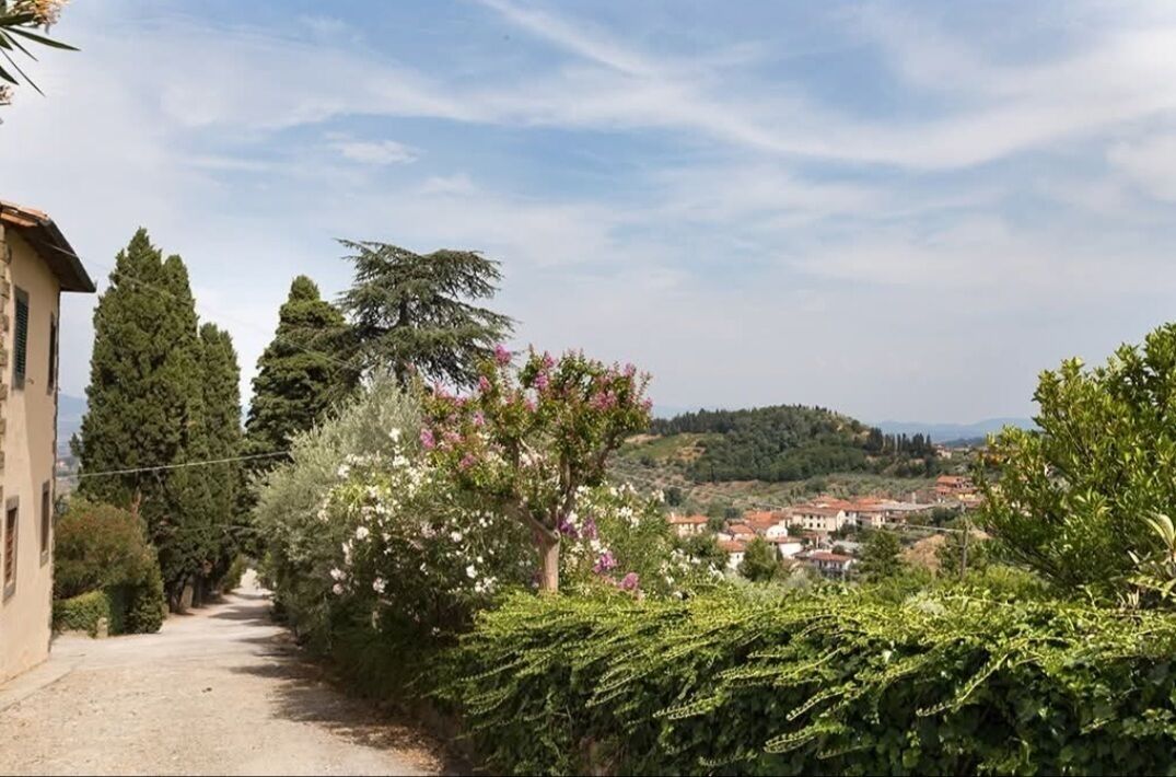A rural landscape with a dirt path, trees, and a distant village.