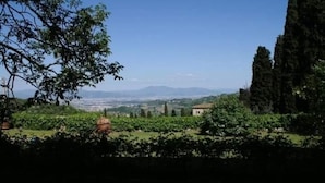 A vineyard with rows of grapevines and a distant view of mountains under a clear sky. - Flower house, surrounded by greenery, overlooking a large garden. (Bacchereto)