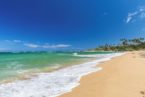 Plage à proximité