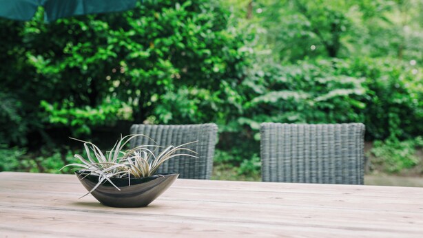 Una mesa con un cuenco de plantas, sillas de mimbre y un paraguas verde en un jardín.