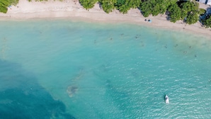 Eine Vogelperspektive zeigt einen Strand mit klarem türkisblauem Wasser, einem sandigen Ufer und dichtem, grünem Grünwerk.
