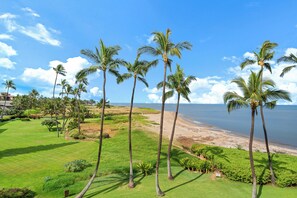 Property grounds - New Listing | Beachfront Bliss at Menehune Shores 421 (Kihei)