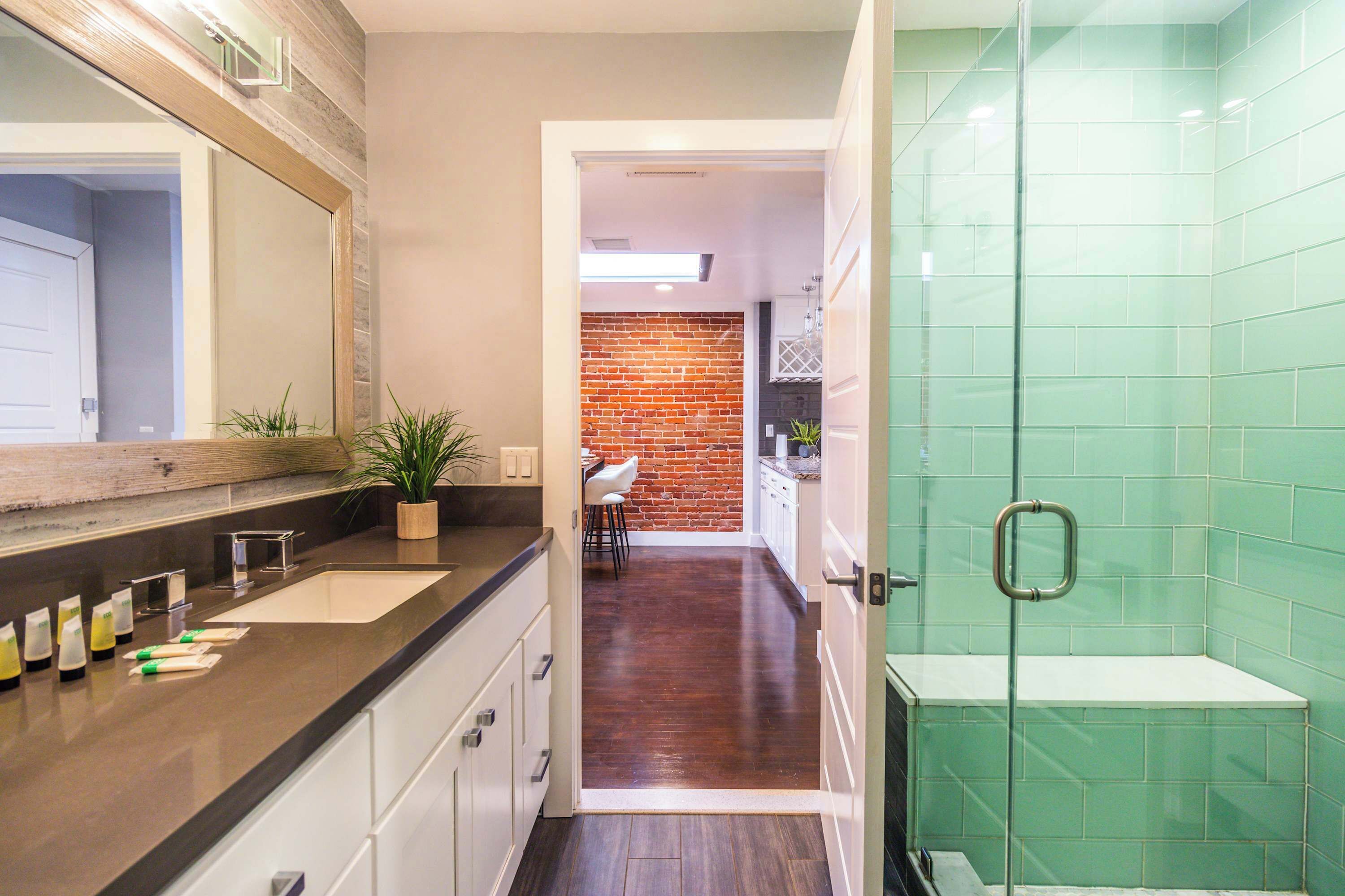 Shower, hair dryer, shampoo