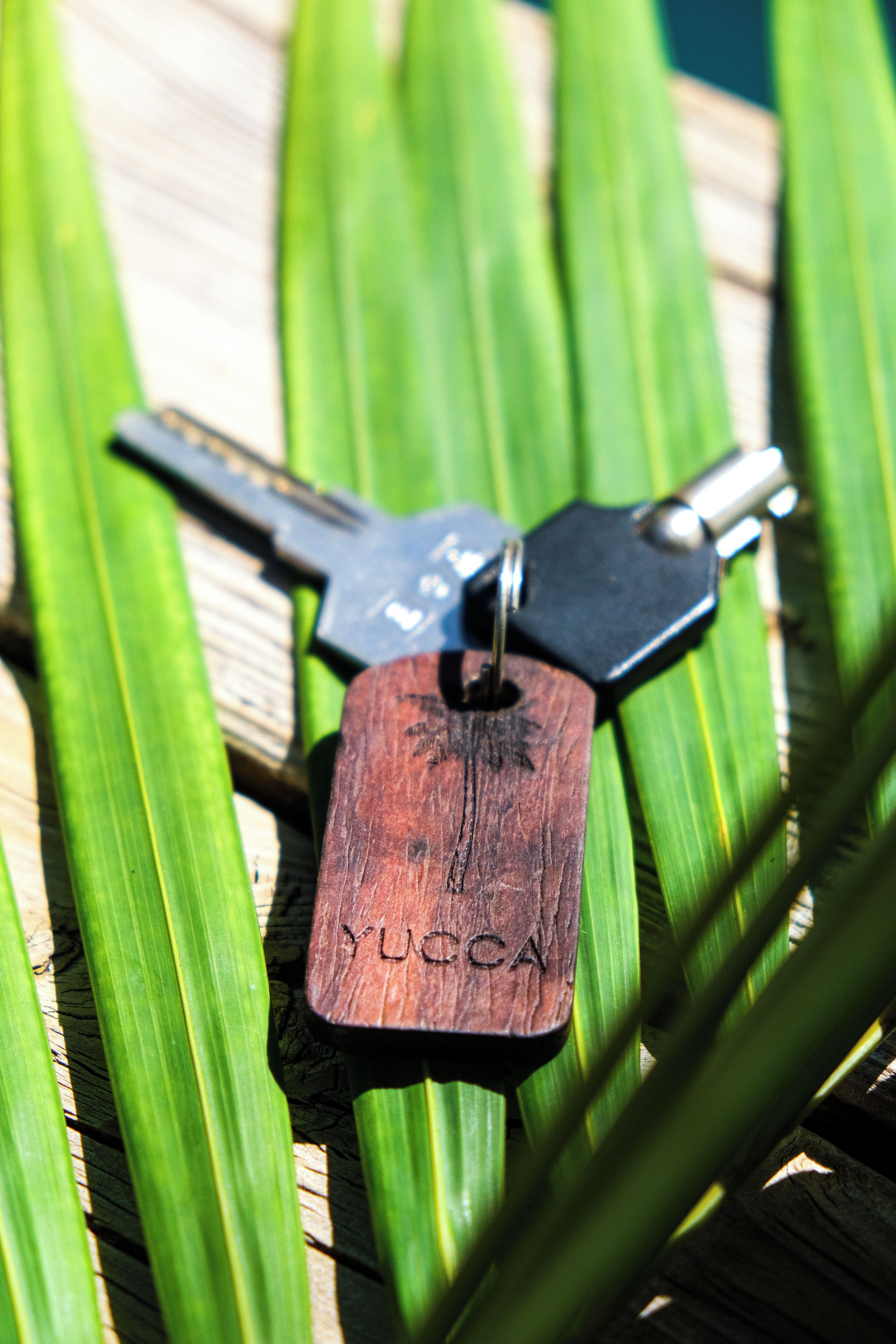 A wooden keychain with the inscription 'YUCCA' on a wooden surface surrounded by green leaves.