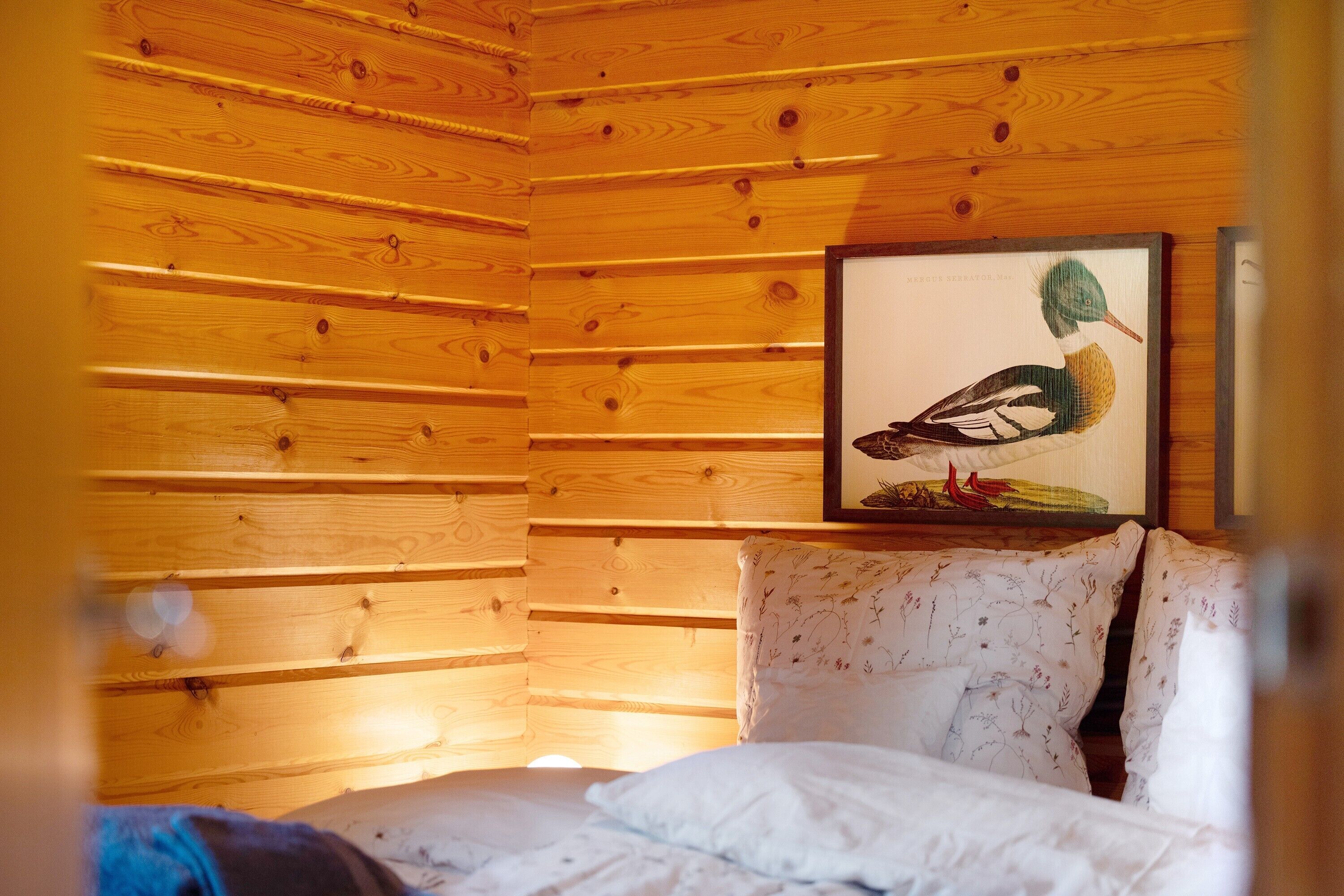 A wooden-paneled room with a bed, pillows, and a framed picture of a bird on the wall.