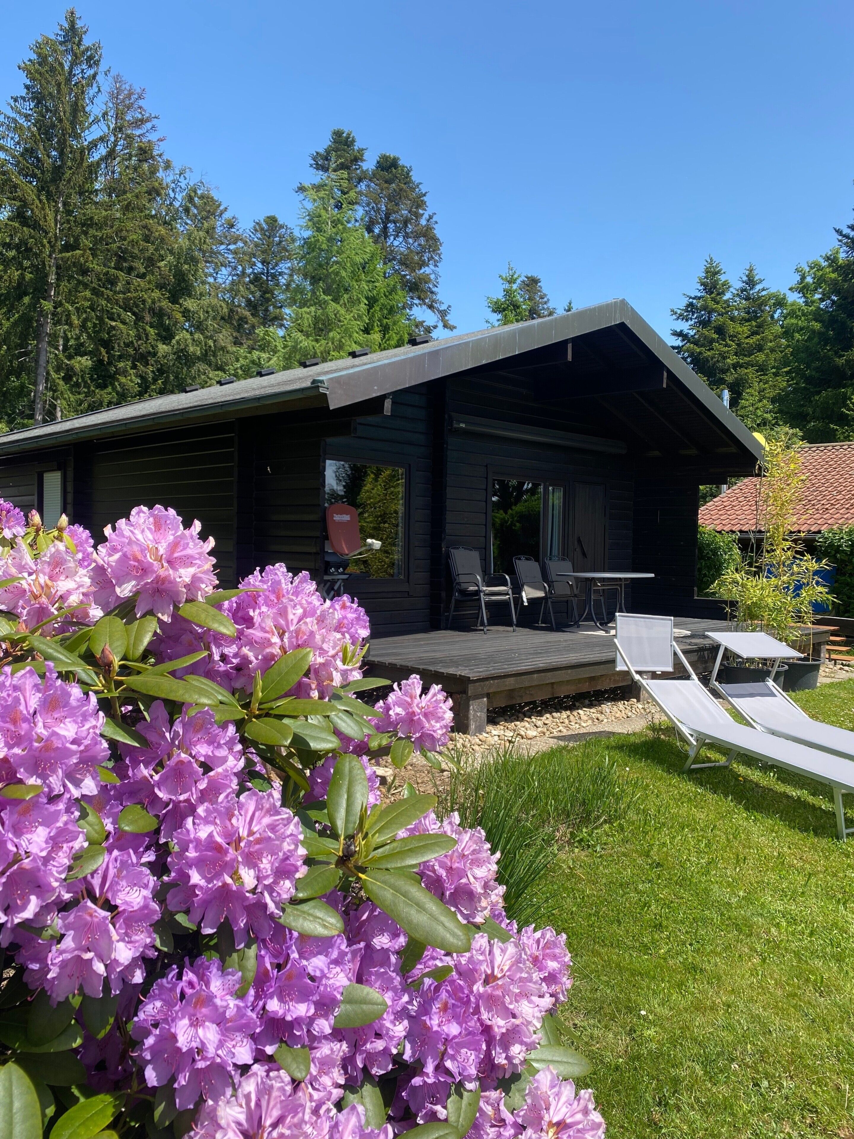 Eine Hütte mit einer Terrasse, Sitzgelegenheiten im Freien und einem Garten mit violetten Blumen.