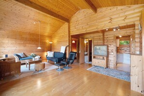 Fernseher, Stereoanlage